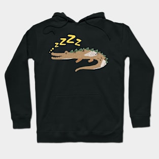 Crocodile sleeping Hoodie